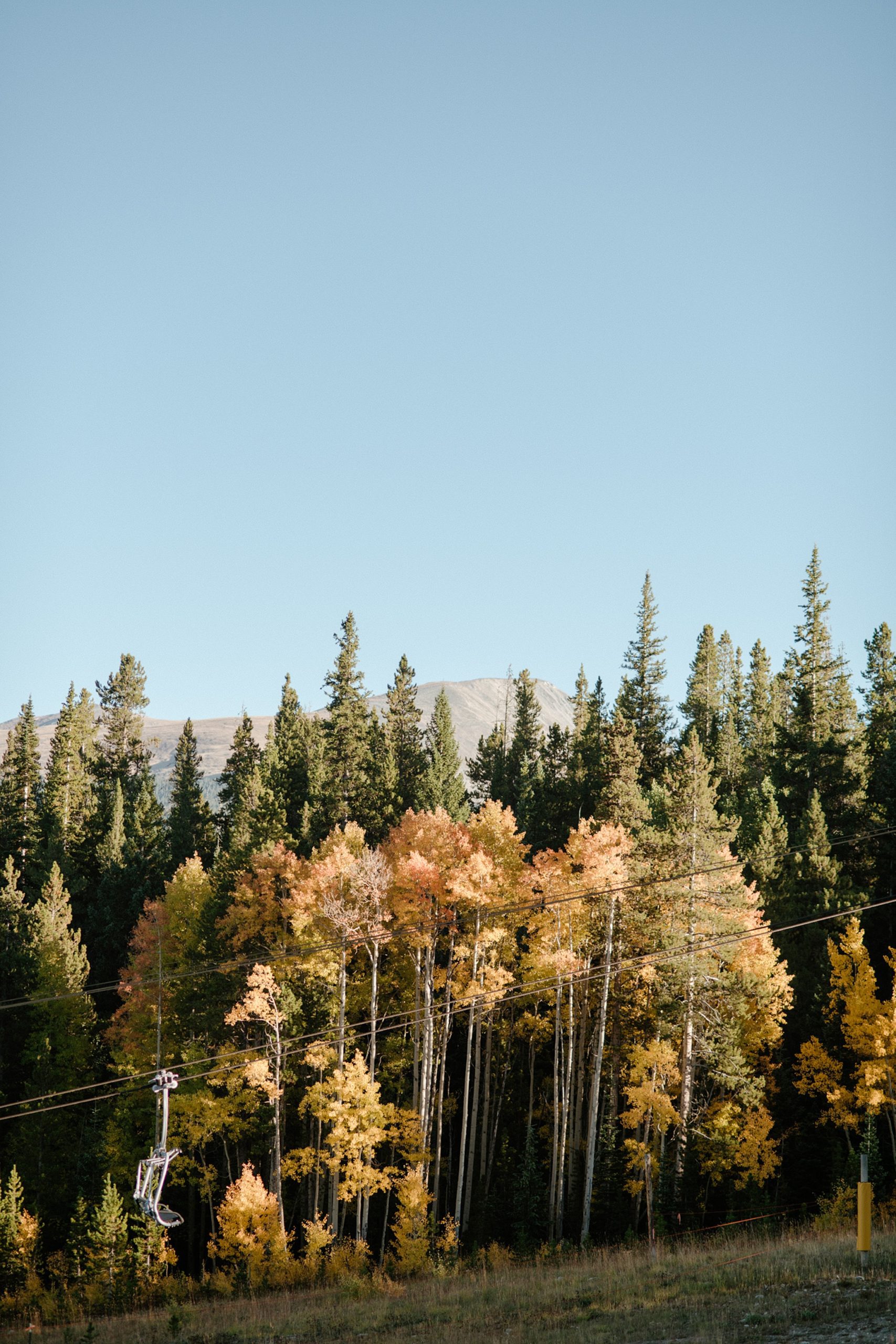 Aspens turning yellow in the fall at Ten Mile Station wedding venue