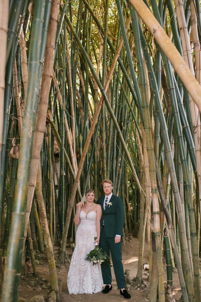 a bamboo forest at a private island mexico wedding venue