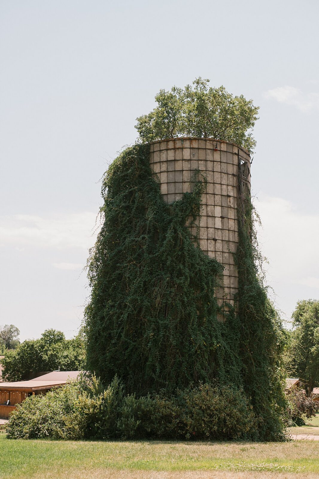 Planet Bluegrass Ranch Planet Bluegrass Wedding in Lyons | Megan + Matthew
